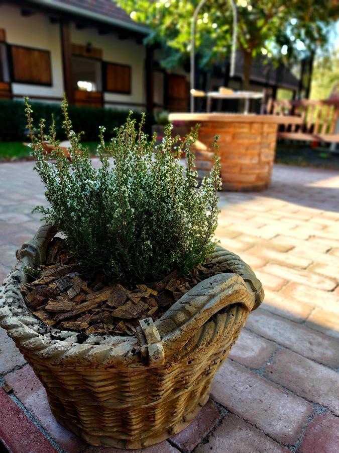 Akacos Tanya Es Vendeghaz Hotel Marok Buitenkant foto